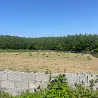 فروش زمین ۷۲۰۰ متری در شهرک غرب|فروش زمین و ملک کلنگی|تهران, شهرک غرب|دیوار
