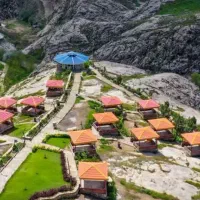 نماینده  اجرایی لیسانس کشاورزی  فضای سبز شهری