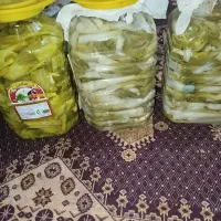 ترشی بیلهر مال امسال