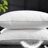 بالشت طبی میکروفایبردکتر بیز نمایندگی تبریز
