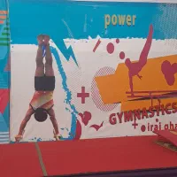 مسئول ثبت نام