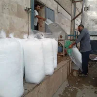 یخ قالبی و بسته بندی شده خوراکی
