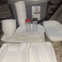 ظروف مسافرتی