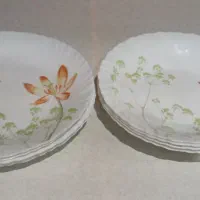 ظرف ارکوپال