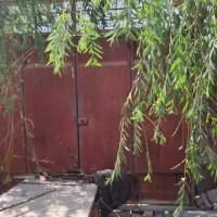 درب اهنی 3مترعرص در270