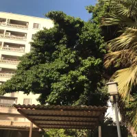 استخدام بانوان جویای کار