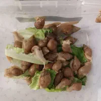 حلزون
