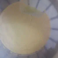 گاو جرسی
