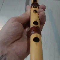 نی نو