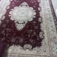 یه جفت فرش لاکی ۶ متری ۵۰۰ شانه