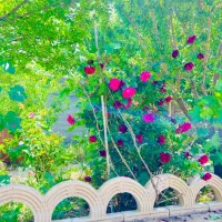 ۶۵۰متر باغ با سهمیه آب در شهرک ویلایی قیمت منصفانه