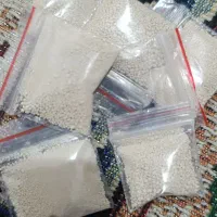 پودر شپش