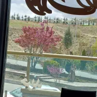 به یک کباب زن در تهیه غذا نیازمندیم