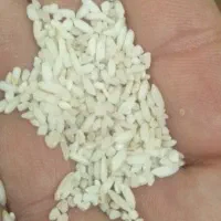 عنبربو خالص ۲۸۹