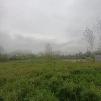 پلاک-سند-دار-235متری-مسکونی-لاهیجان-شکاکم