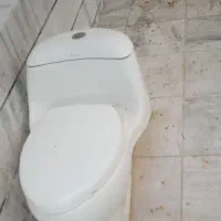 دستشویی فرنگی
