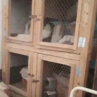 جفت کن
