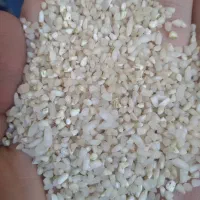 نیمدانه عنبربو اصل