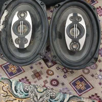 ضبط باند میدرنج