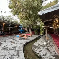 آشپز ماهر ایرانی