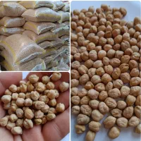 خریدار عمده نخود به صورت نقد