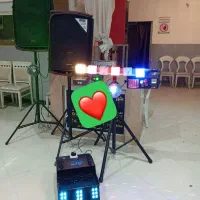 دیجی نیلوفر