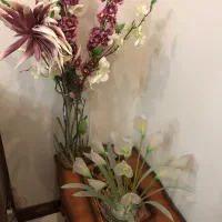 دوعدد گلدان