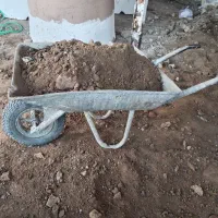 فرقون