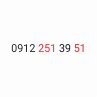 51 39 251 0912