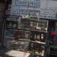 قناری،فنچ،مرغ عشق ،عروس هلندی طوطی
