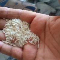 برنج سرلاشه