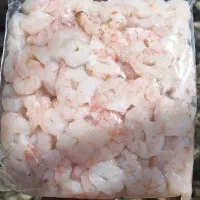 انواع میگو و ماهی