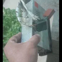 ضبط