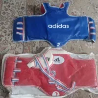 دو عدد هوگو تکواندو