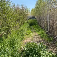 زمین باغی باغچه