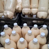 کشک گوسفندی غلیظ