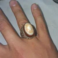 انگشتر باباقوری درشت خو‌دست