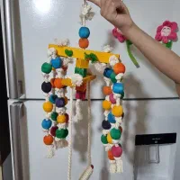 تاپ پرنده