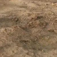 زمین 200متر در هویزه
