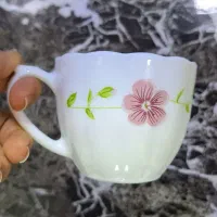 فنجون آرکوپال خارجی و قندون