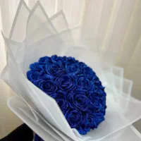 گل شاخه ای ۳۰