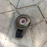 بوق