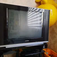 تلویزیون