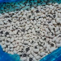 لوبیا چشم بلبلی