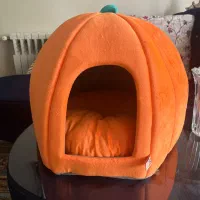 خونه گربه