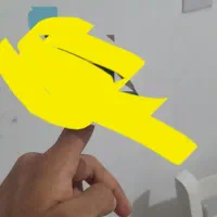 اهواز کوت نواصر