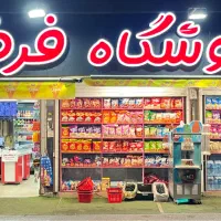 نیروی چیدمان فروشگاه خانم