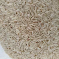 فروش برنج طارم هاشمی