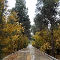سیمکارت 0919رندو۹۱۲  کد ۷