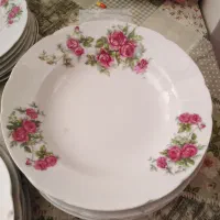 سرویس گلسرخی